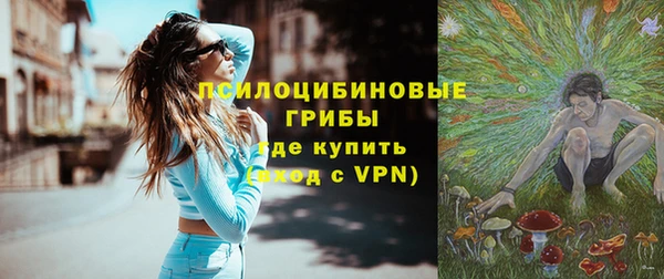 гидропоника Алзамай