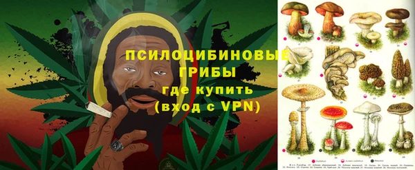 гидропоника Алзамай