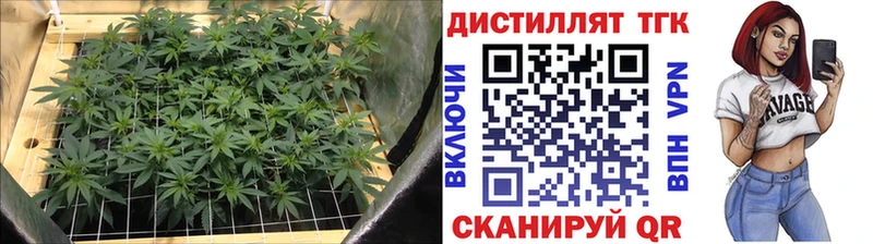 Дистиллят ТГК THC oil  где найти   mega как войти  Менделеевск 