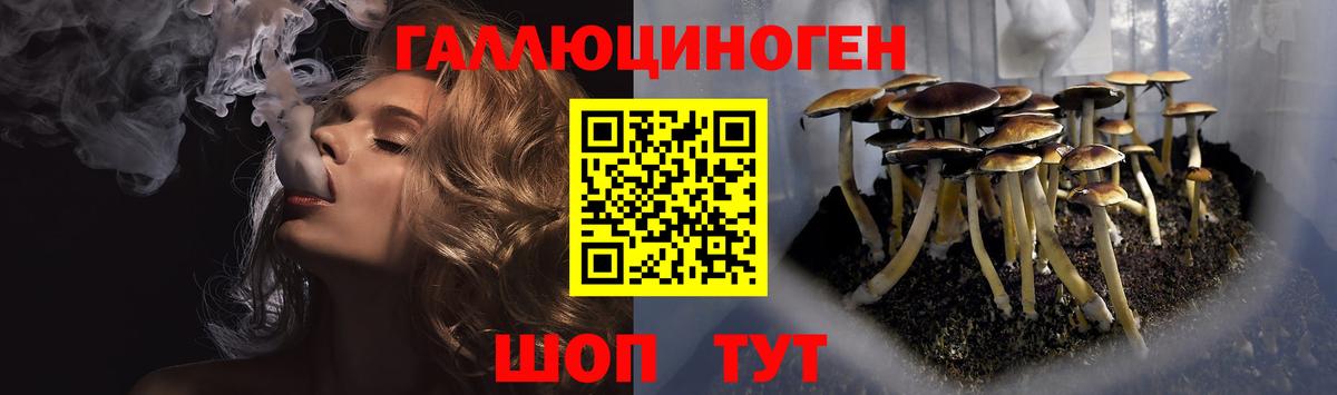 Менделеевск  Псилоцибиновые грибы мицелий  Псилоцибиновые грибы Cubensis  Вход с VPN 