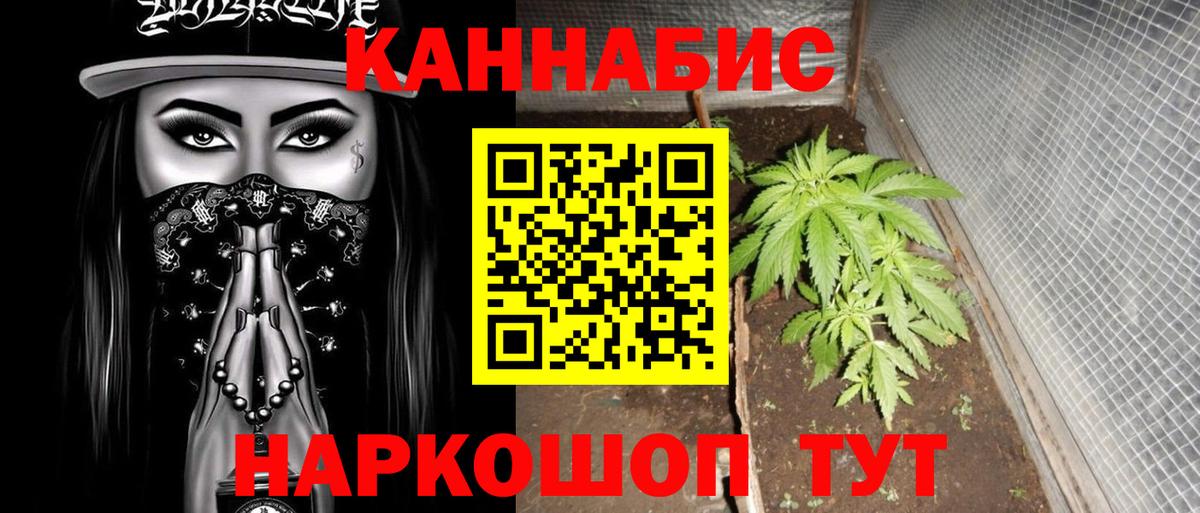 Бошки Шишки марихуана Менделеевск